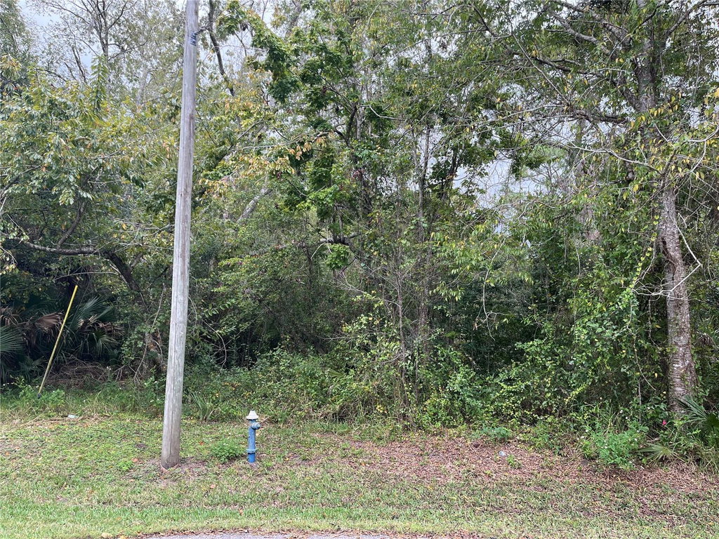 Image Unavailable