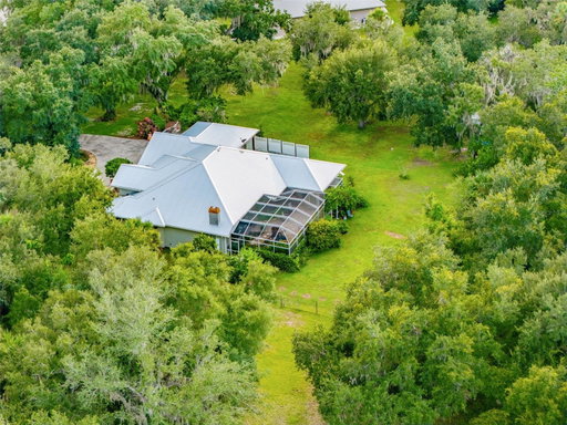 Media Image 2