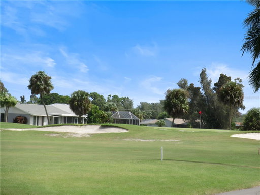 Media Image 3