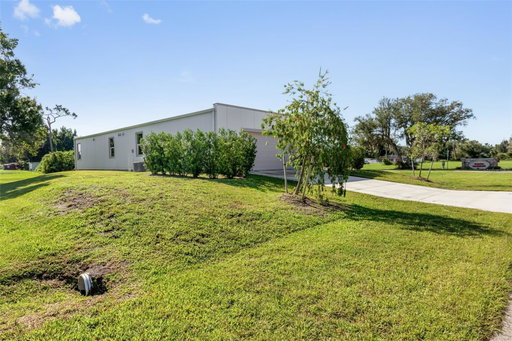 Media Image 2