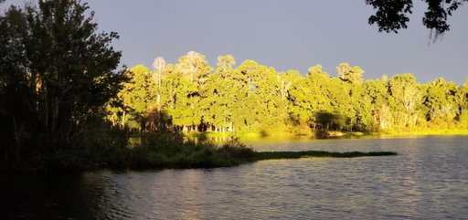 Media Image 2
