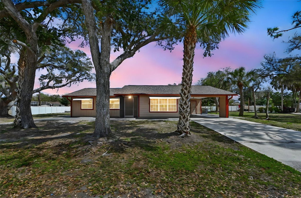 Media Image 1