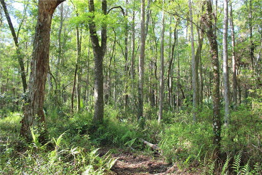 Media Image 3