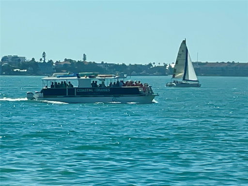 Media Image 2