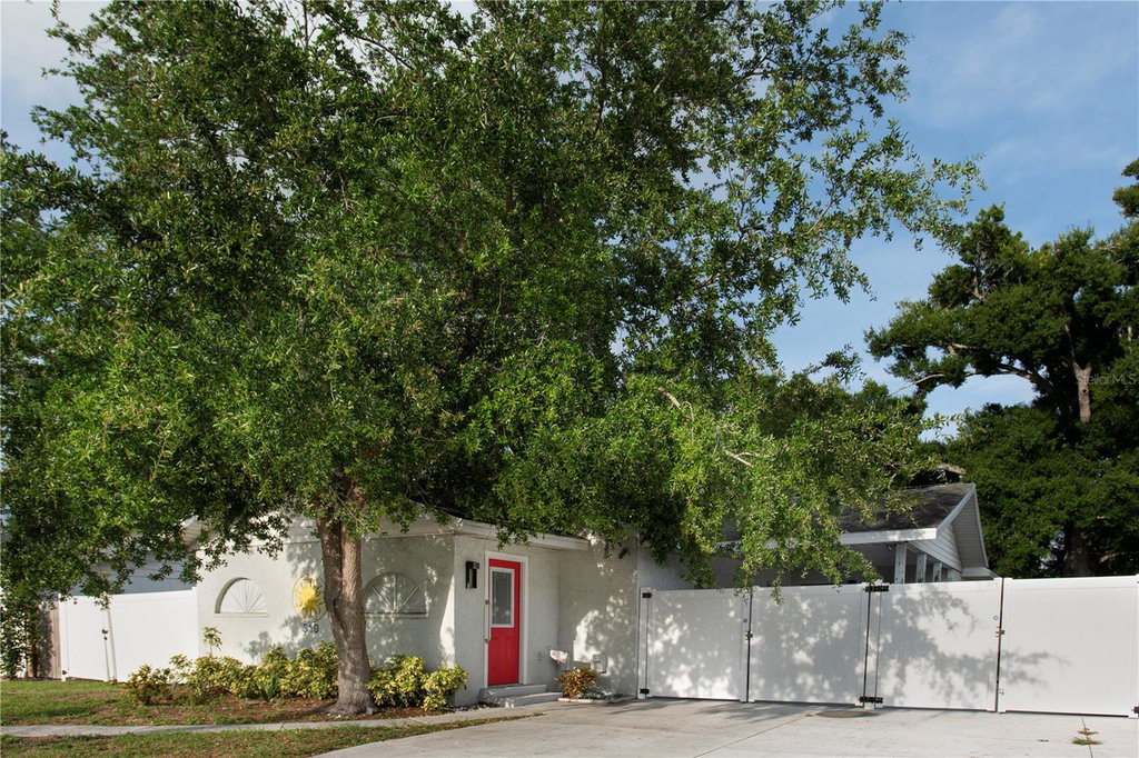 Media Image 1