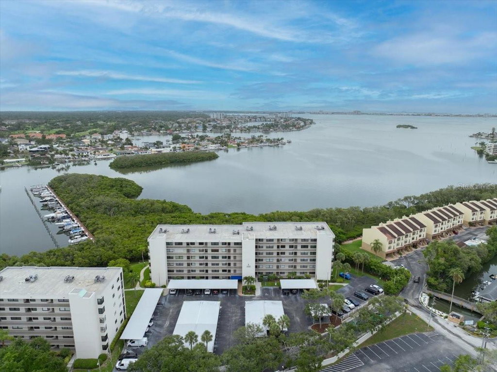 Media Image 1