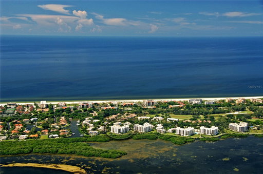 Media Image 2