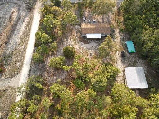 Media Image 3