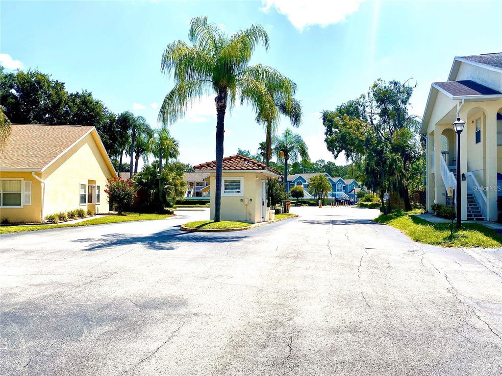 Media Image 1
