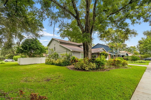 Media Image 2
