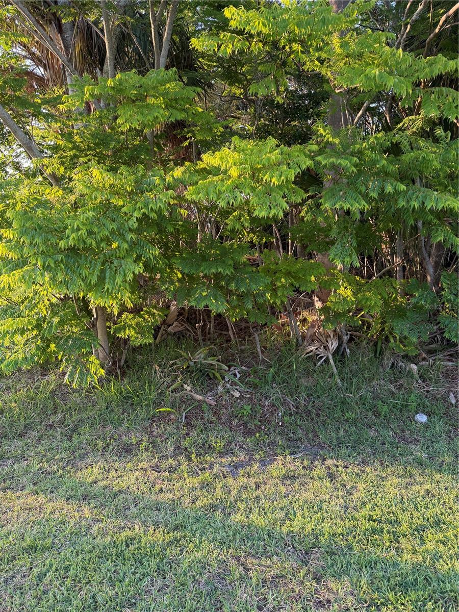 Image Unavailable