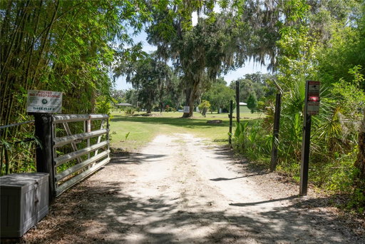 Media Image 3