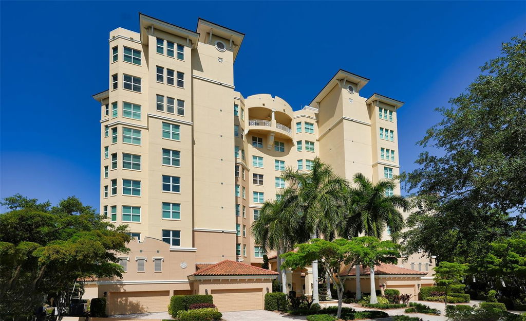 Media Image 1
