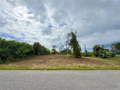 Media Image 3