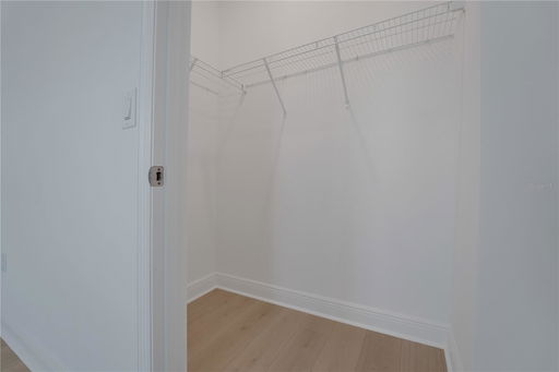 Media Image 2