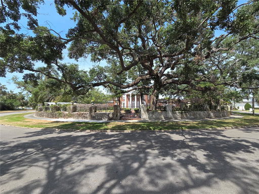 Media Image 3
