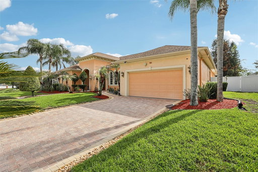 Media Image 3