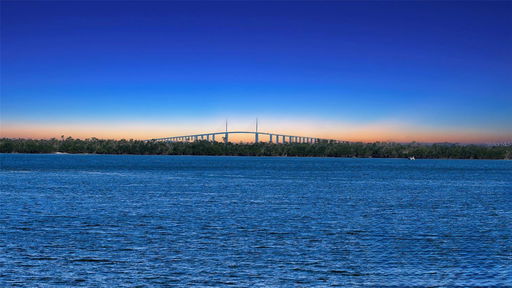 Media Image 3