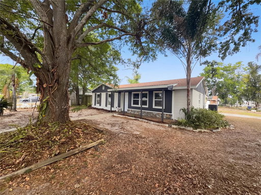 Media Image 2