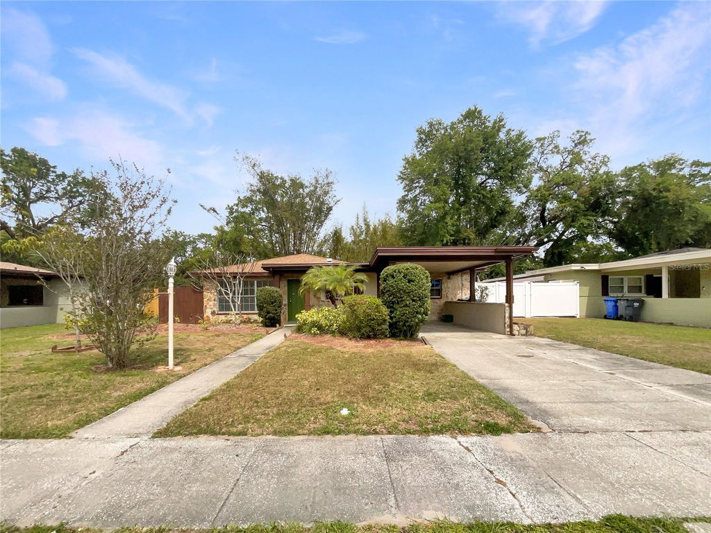 Media Image 1