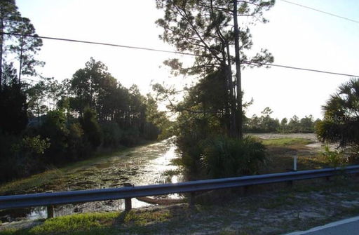 Media Image 2
