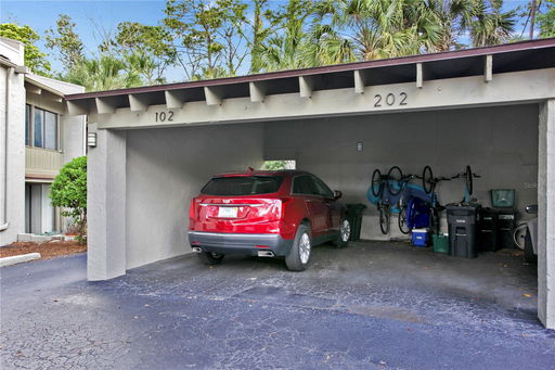 Media Image 3