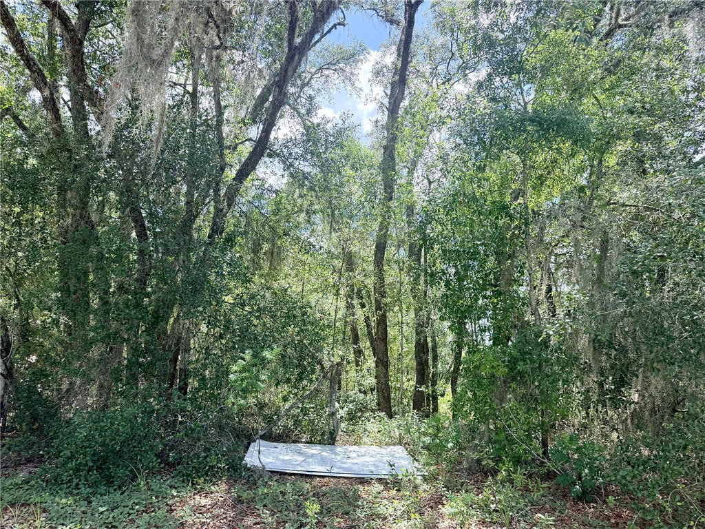 Image Unavailable