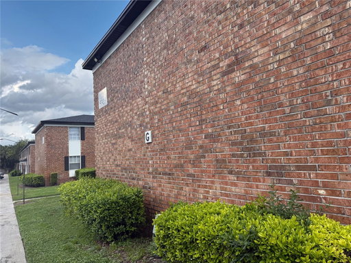 Media Image 3