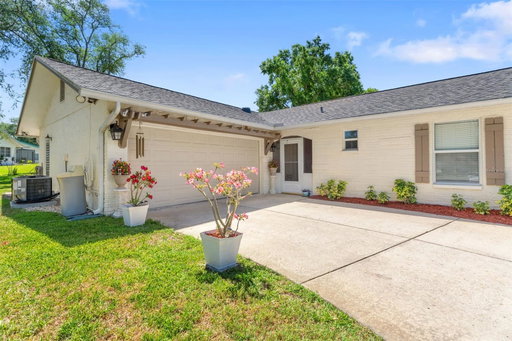 Media Image 3