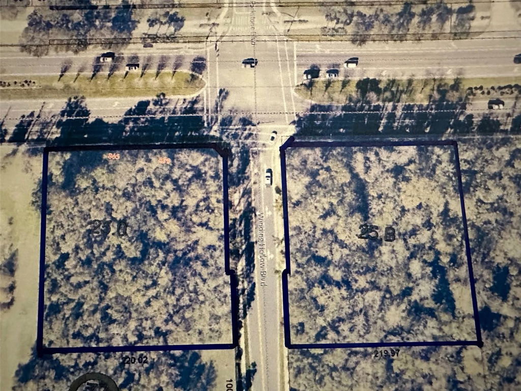 Media Image 1