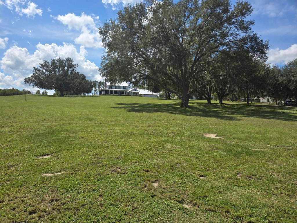 Media Image 1