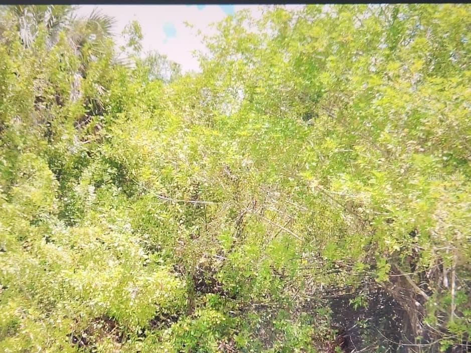 Image Unavailable