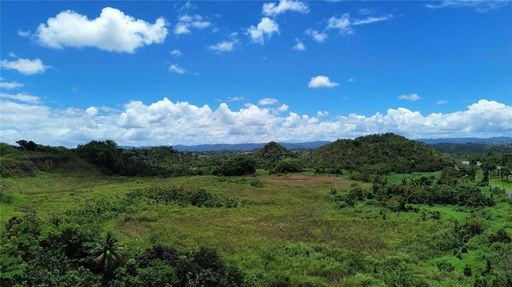 Media Image 3
