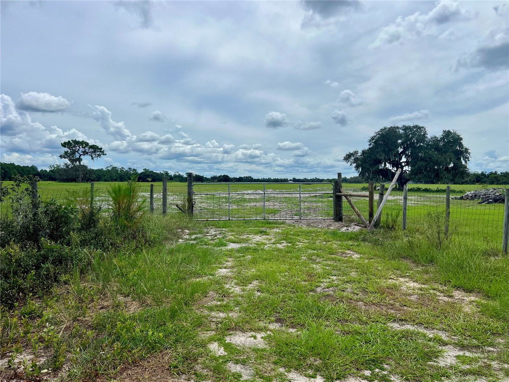 Image Unavailable