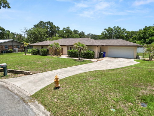 Media Image 3