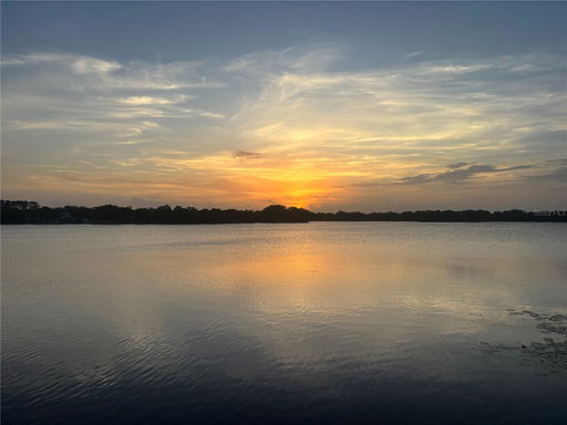 Media Image 3