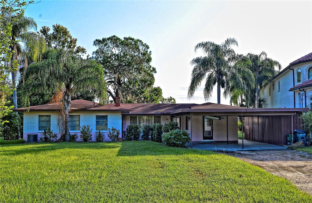 Media Image 1