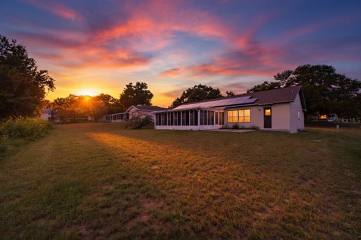 Media Image 2