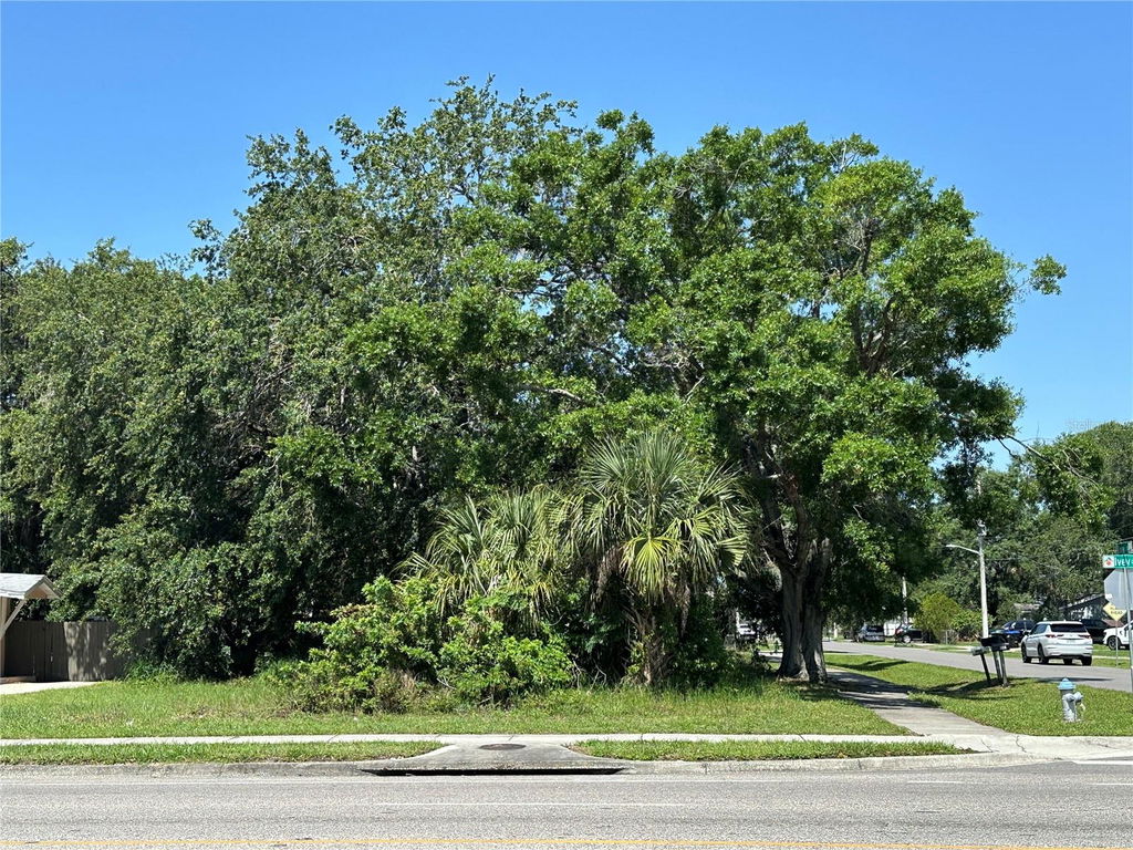 Media Image 1