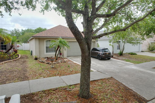 Media Image 2