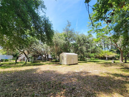 Media Image 2