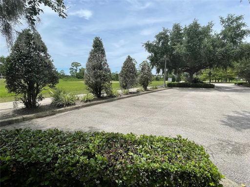 Media Image 3