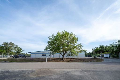 Media Image 3