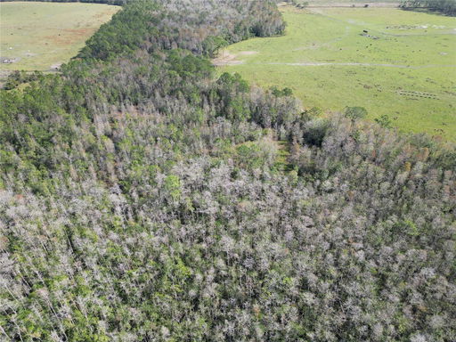 Media Image 3