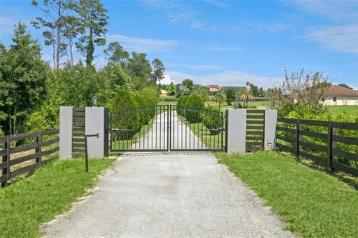 Media Image 3