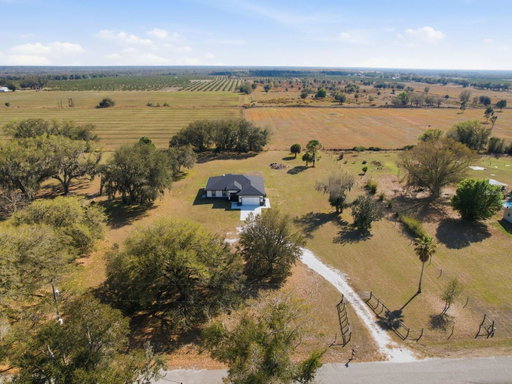 Media Image 2
