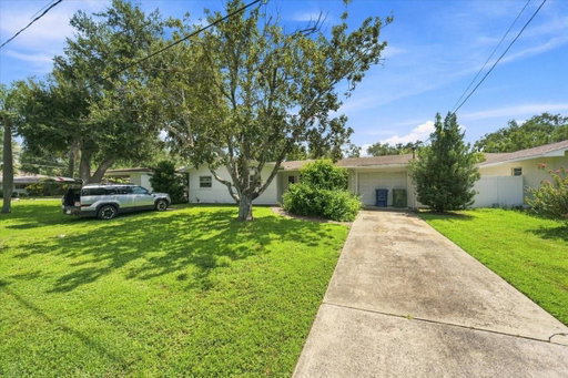 Media Image 3