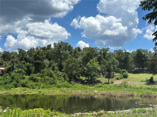 Media Image 2
