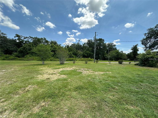 Media Image 3