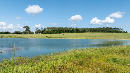 Media Image 3